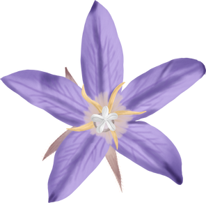 Purple Flower Illustration